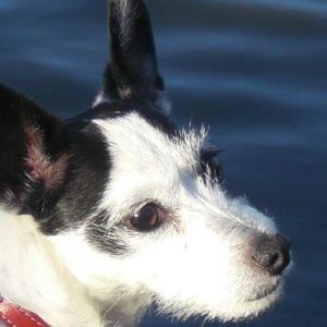 Meet your Posher, Jan